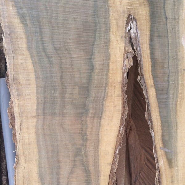 Giải đáp: Gỗ đổi màu là gỗ gì? Đắt hay không?