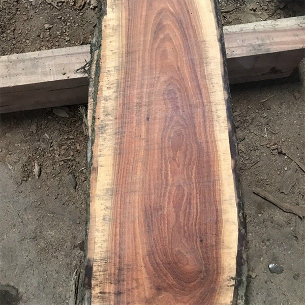 gỗ căm xe campuchia tốt